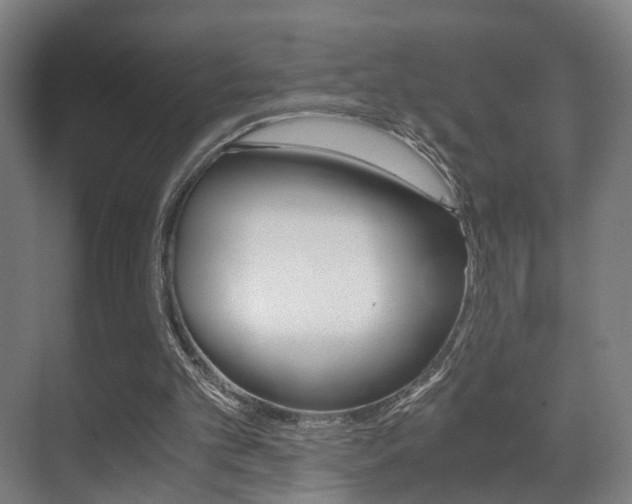 X0000071380101200606230924