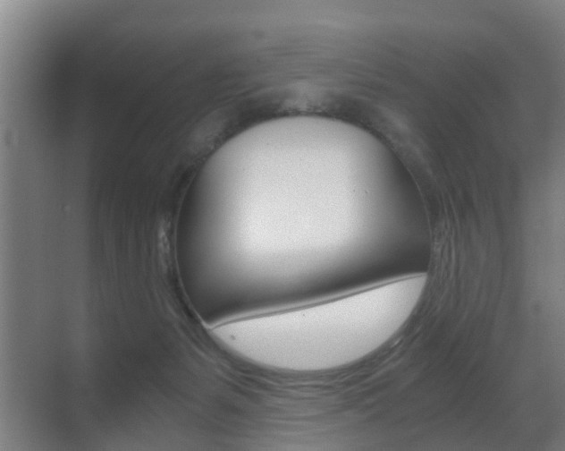X0000071380127200606230924