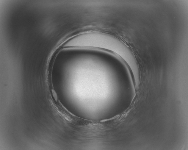 X0000071380150200606230923