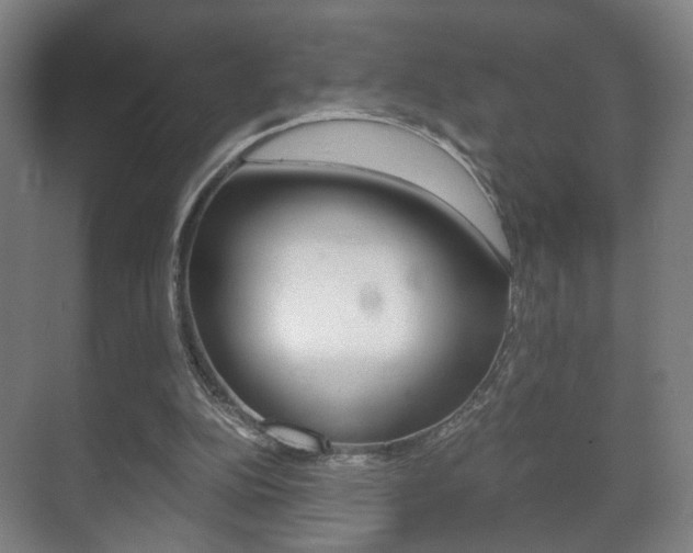 X0000071380152200606230923