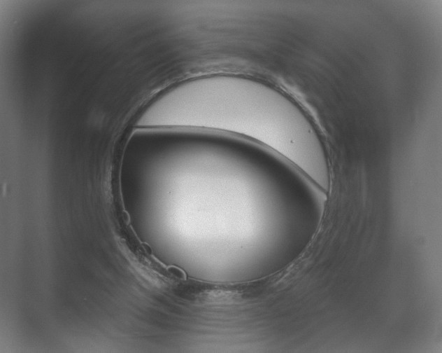 X0000071380154200606230923