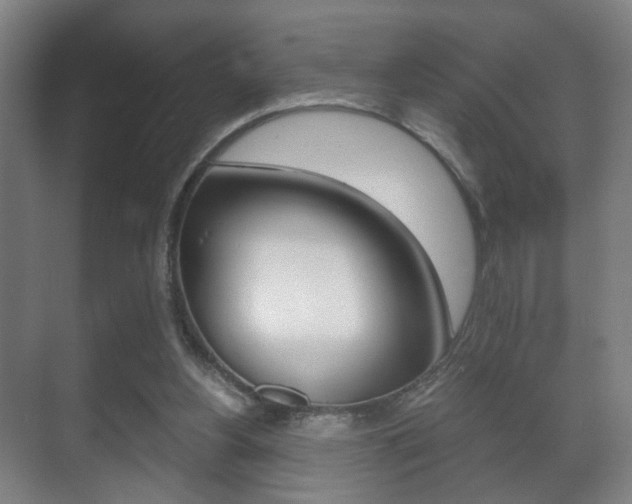 X0000071380156200606230923