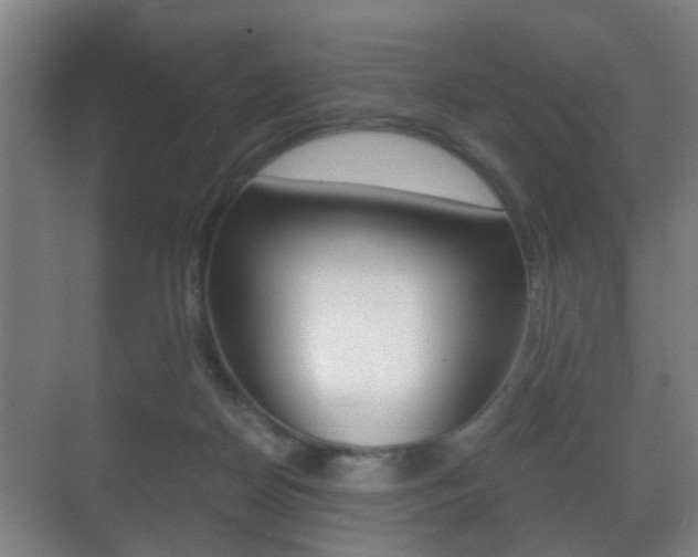 X0000071380170200606230923
