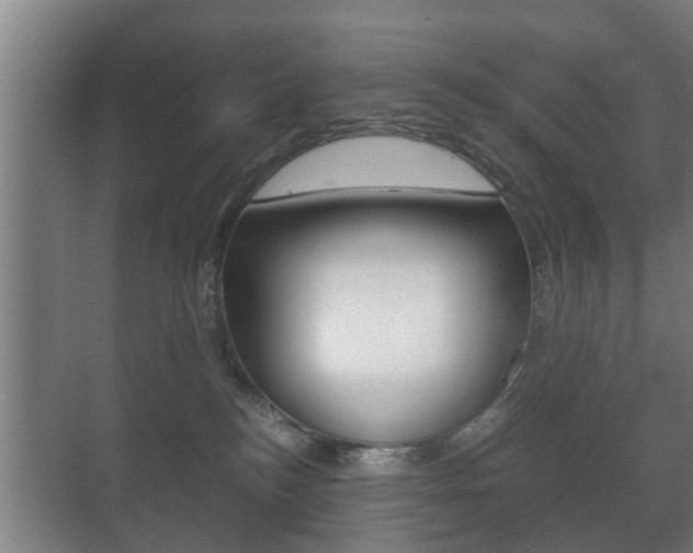 X0000071380184200606230923