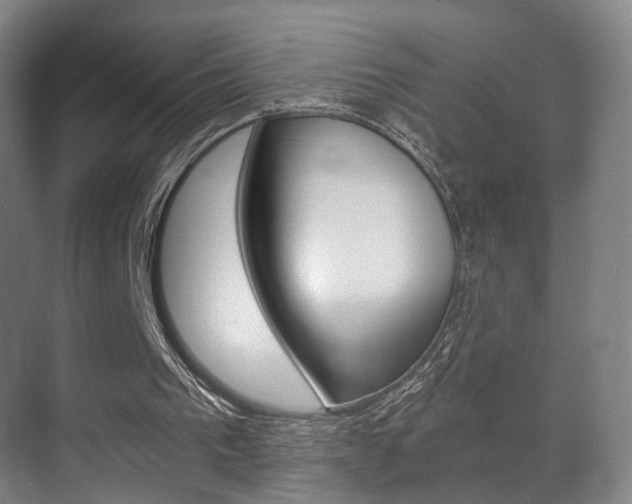 X0000071380193200606230923