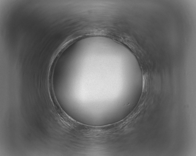 X0000071380195200606230923