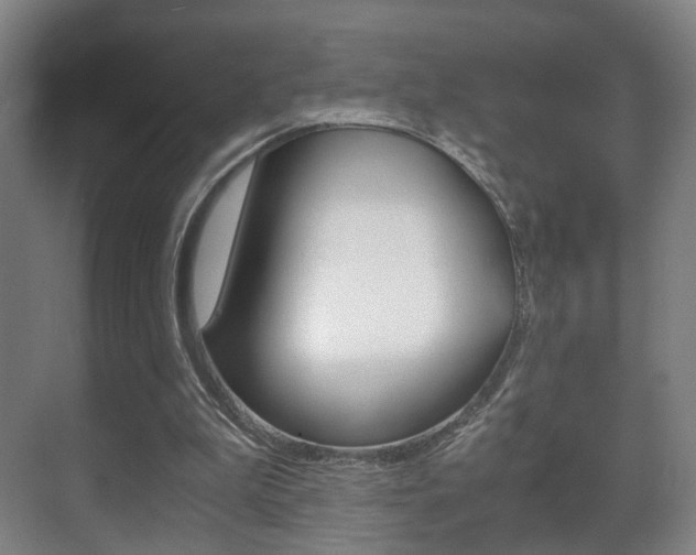 X0000071380199200606230922