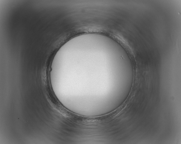 X0000071380202200606230922