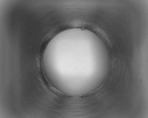 X0000071380210200606230922