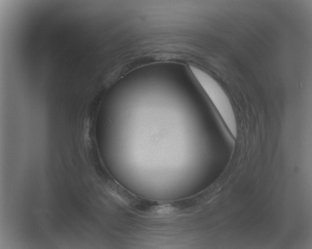 X0000071380219200606230922
