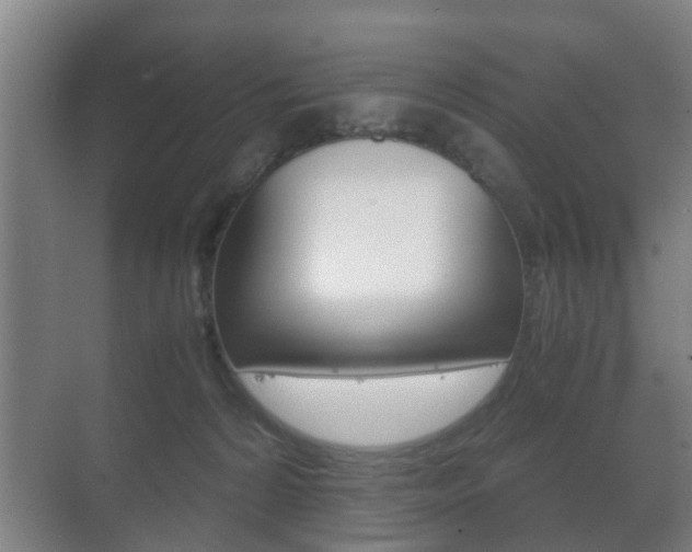 X0000071380224200606230922