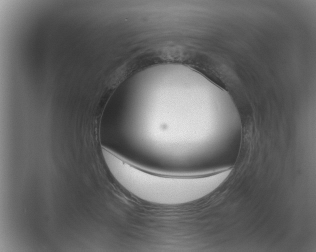 X0000071380233200606230922