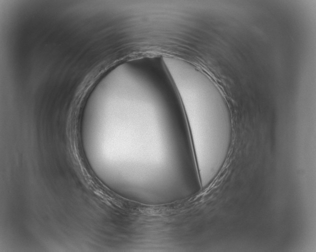X0000071380241200606230921