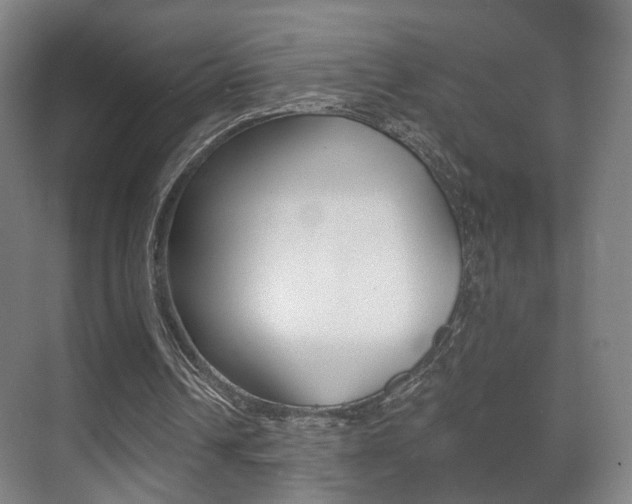 X0000071380242200606230921