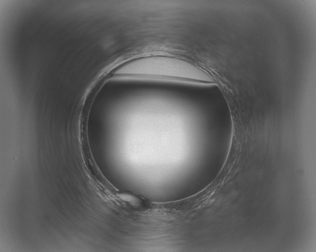 X0000071380244200606230921