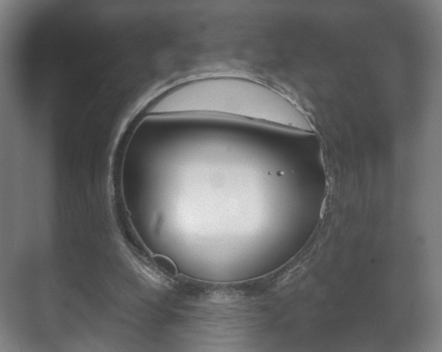 X0000071380248200606230921