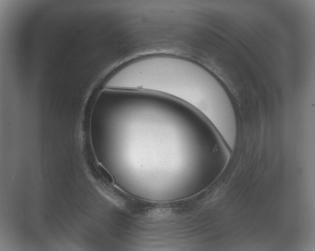 X0000071380252200606230921
