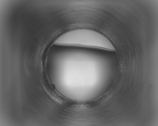 X0000071380254200606230921
