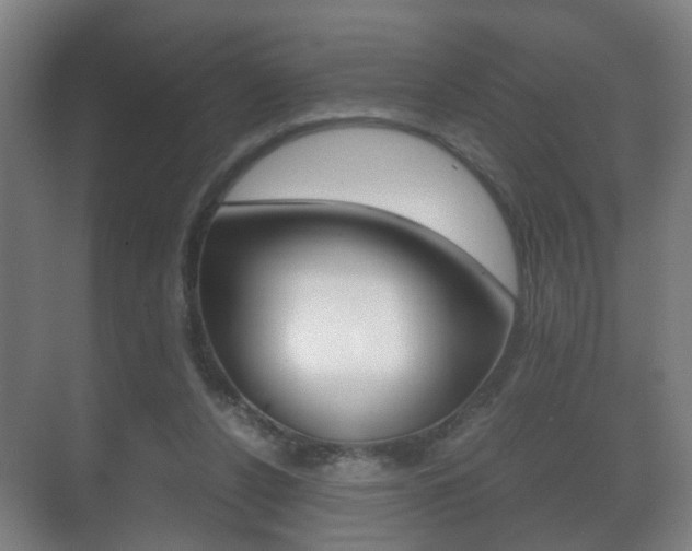 X0000071380256200606230921