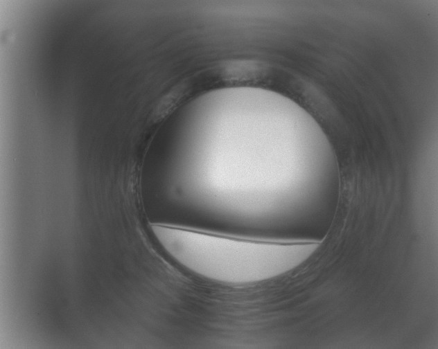 X0000071380277200606230922