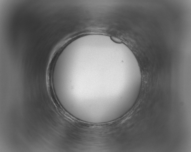 X0000071380294200606230921