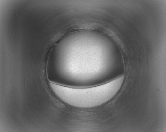 X0000071380305200606230921