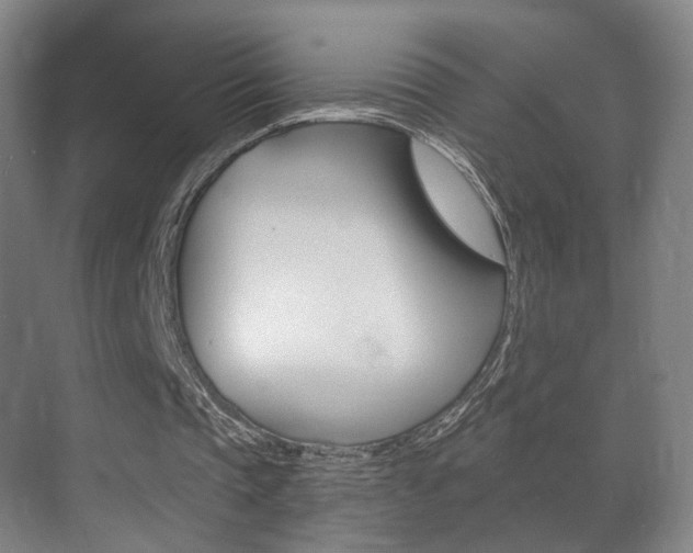X0000071380337200606230919