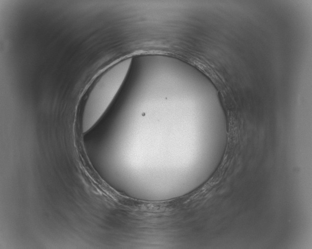 X0000071380338200606230919