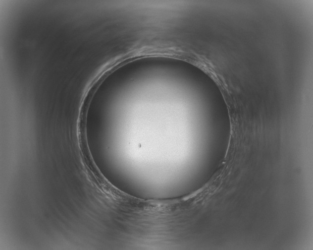 X0000071380340200606230919