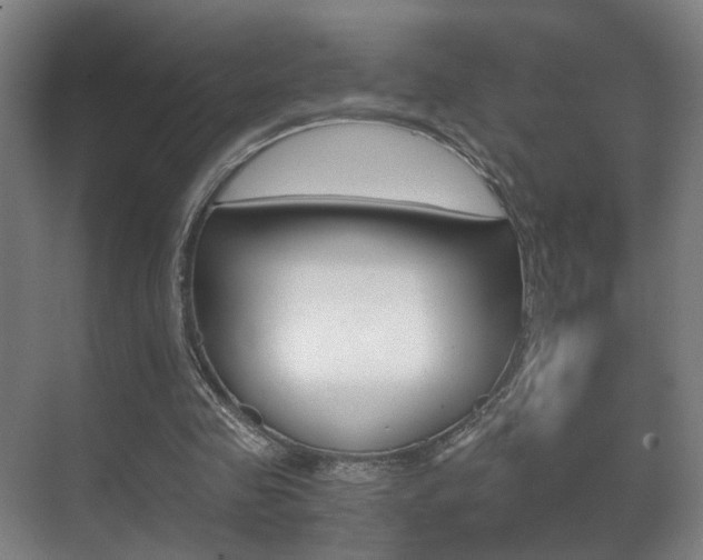 X0000071380341200606230919