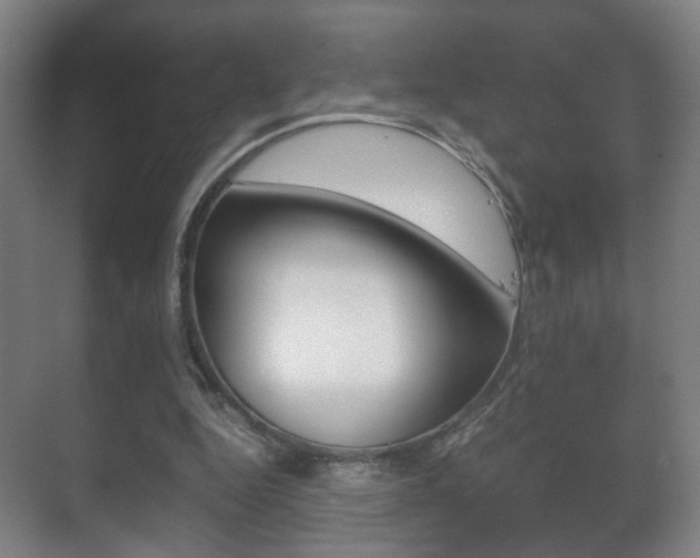 X0000071380344200606230919