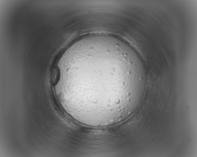 X0000071380347200606230920