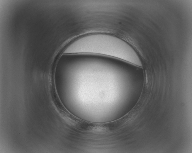 X0000071380348200606230920