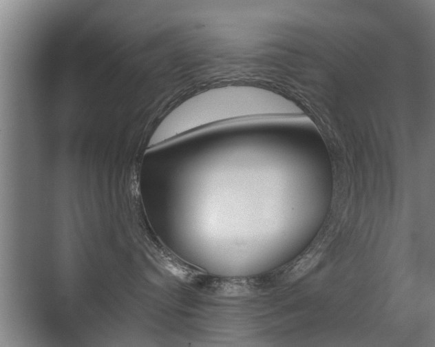 X0000071380384200606230920