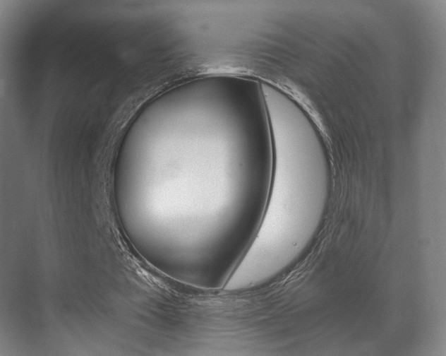 X0000071380385200606230919