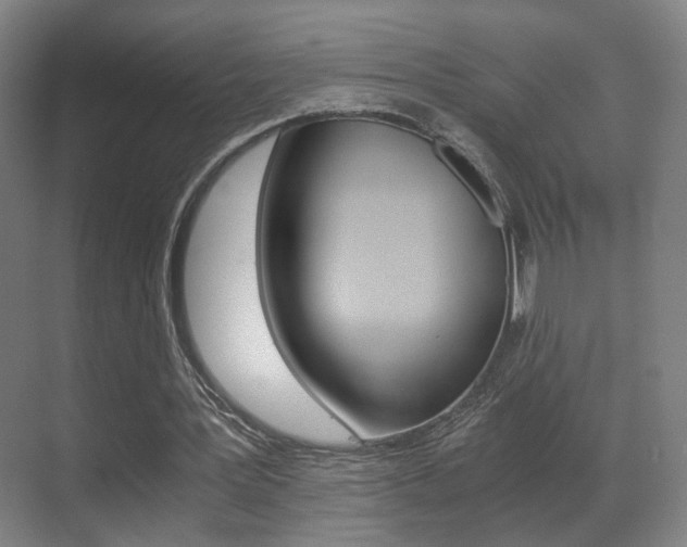 X0000071380387200606230919