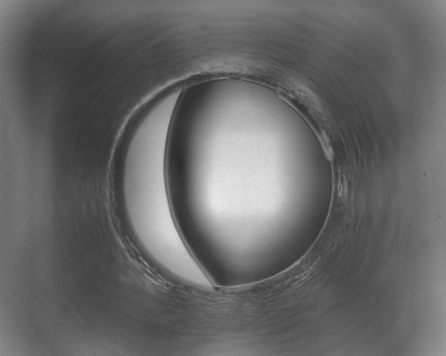 X0000071380388200606230919