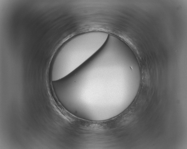 X0000071380390200606230919