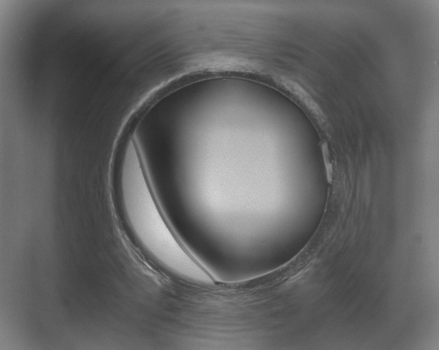 X0000071380391200606230919