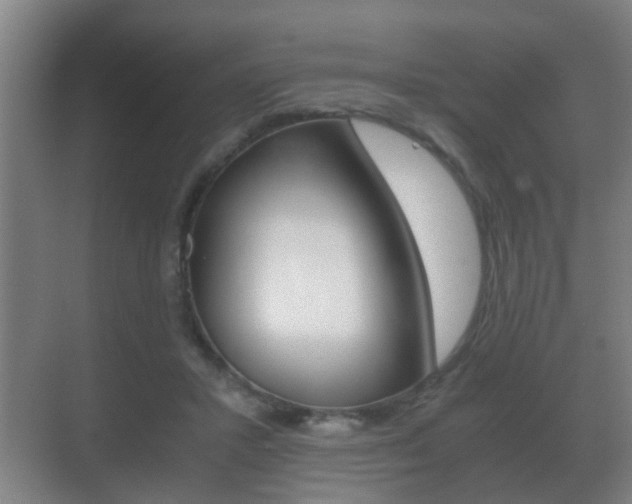 X0000071380407200606230919