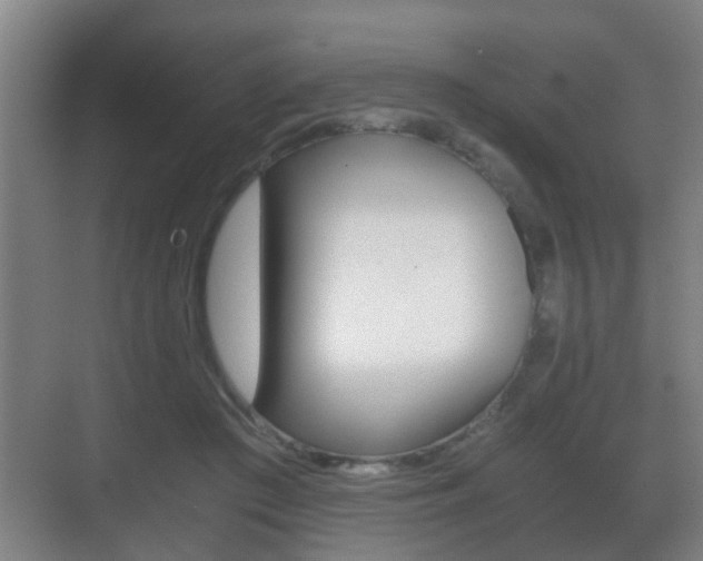 X0000071380409200606230919