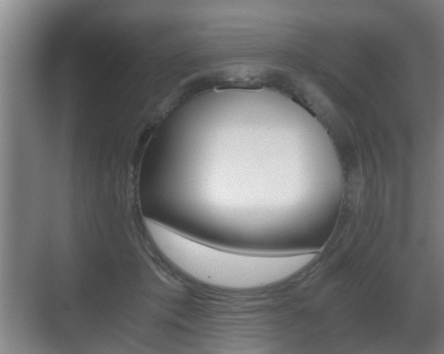 X0000071380413200606230919