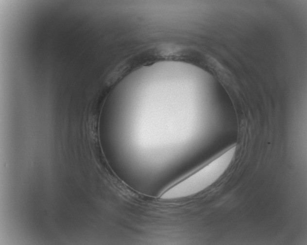 X0000071380421200606230919