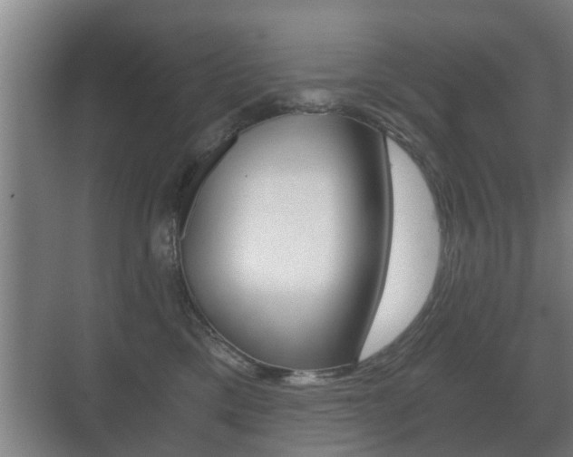 X0000071380425200606230919