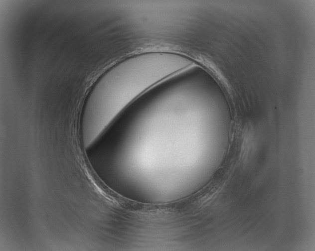 X0000071380433200606230918