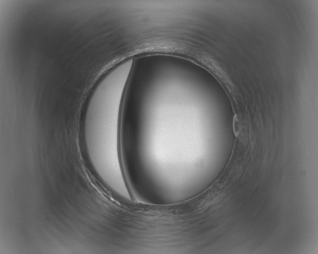 X0000071380434200606230918