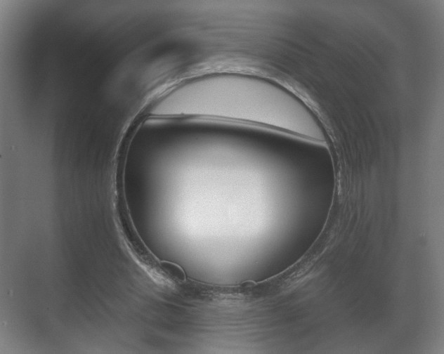 X0000071380438200606230918