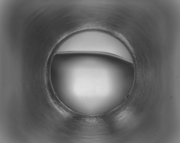 X0000071380439200606230918