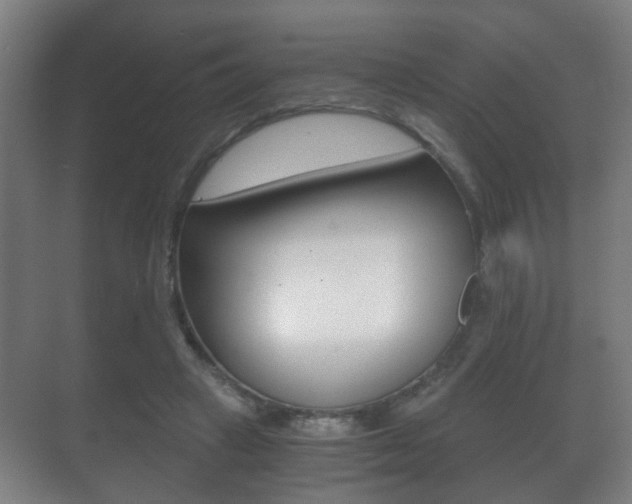 X0000071380449200606230918