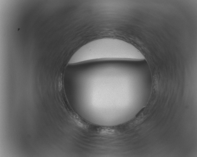 X0000071380471200606230918